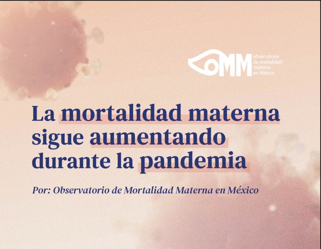 La Mortalidad Materna Sigue Aumentando Durante La Pandemia Observatorio De Mortalidad Materna 9127